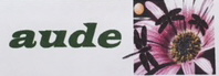 LOGO-2